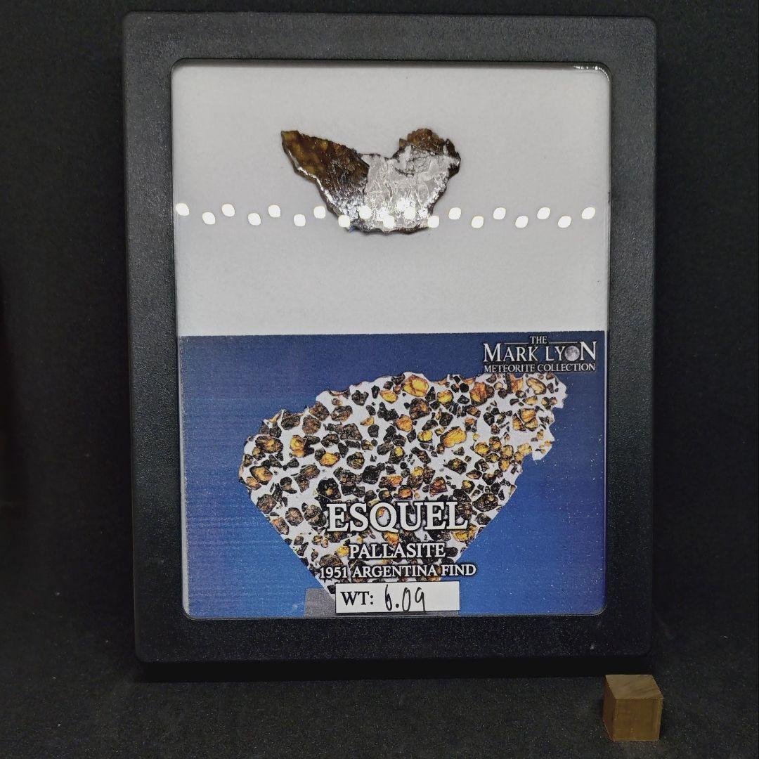 エスケル隕石（Esquel Meteorite）