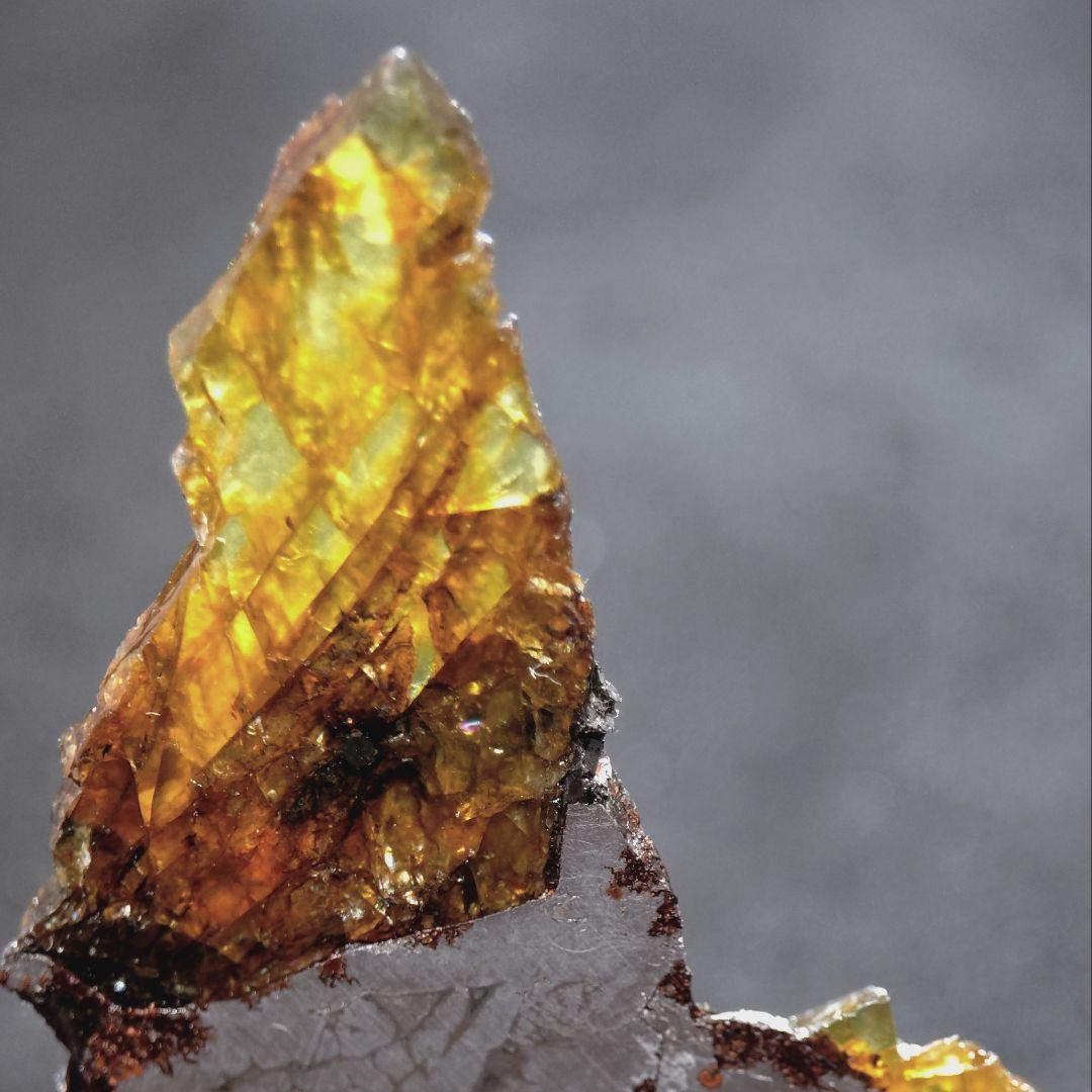 エスケル隕石（Esquel Meteorite）