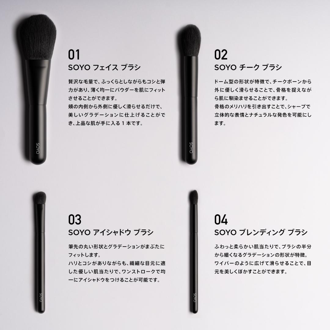 SOYO メイクブラシ ディスカバーフルセット（10本➕ケース付き）