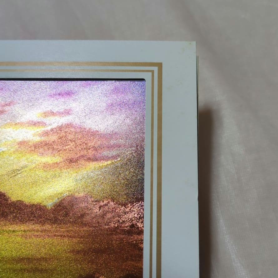 イギリス　DUFEX PRINTS　エッチングアート（イルカ、シャチ）４枚セット
