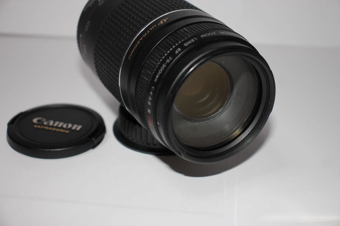 ☆超望遠レンズ☆一眼レフカメラ☆Canon EF75-300㎜I USM ☆