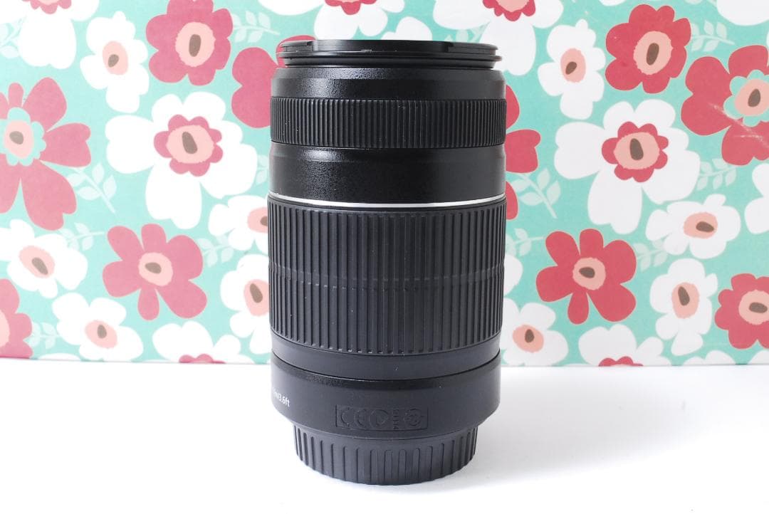 ❤Canon EF-S 55-250mm F5.6 IS II❤手振れ補正❤
