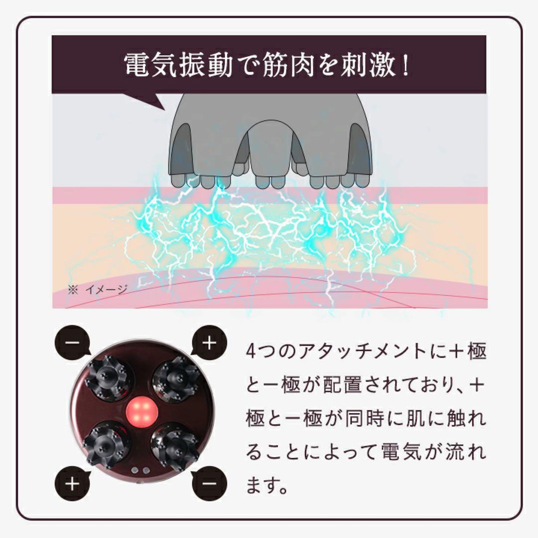 ルメントEMSヘッドスパ 頭皮ケア シャンプーブラシ 頭皮ブラシ