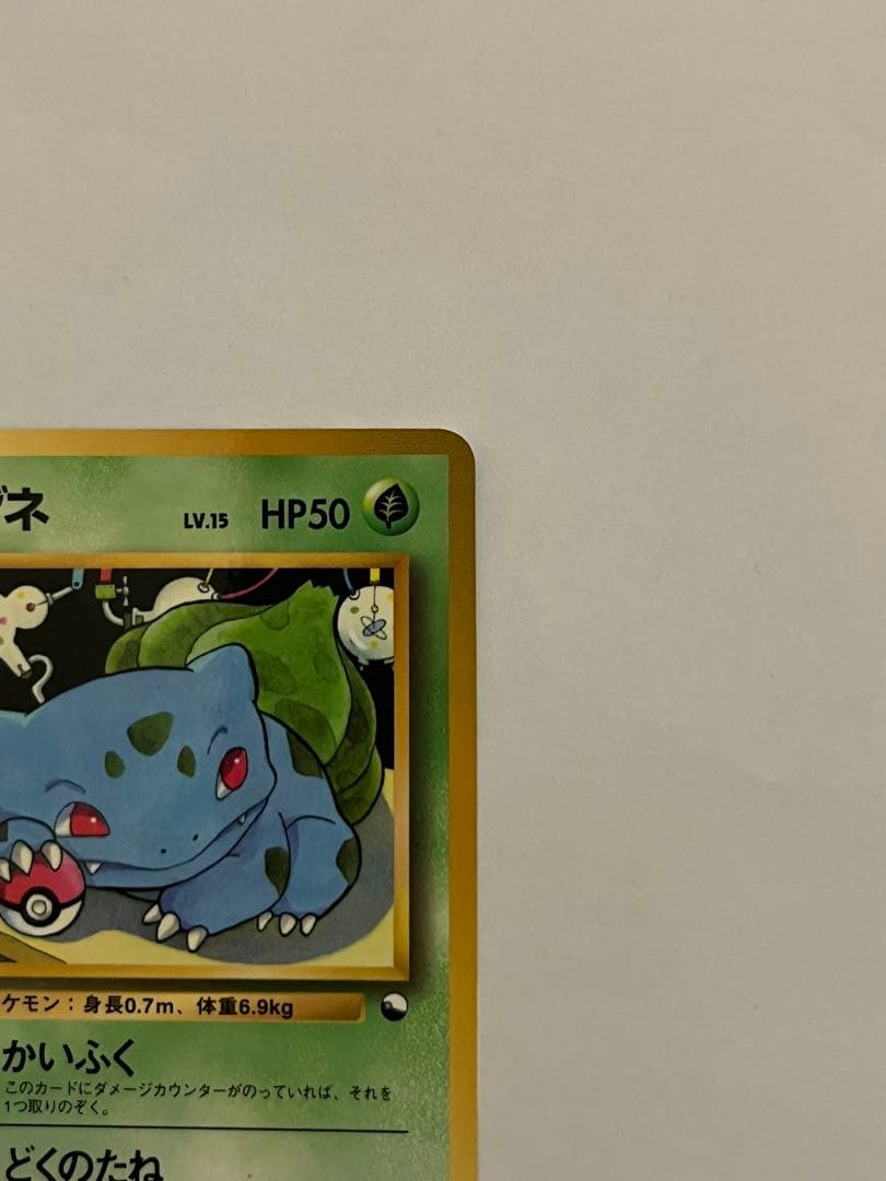 フシギダネ　ポケモンカード　旧裏