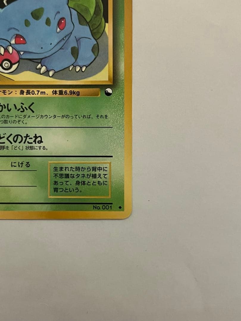 フシギダネ　ポケモンカード　旧裏