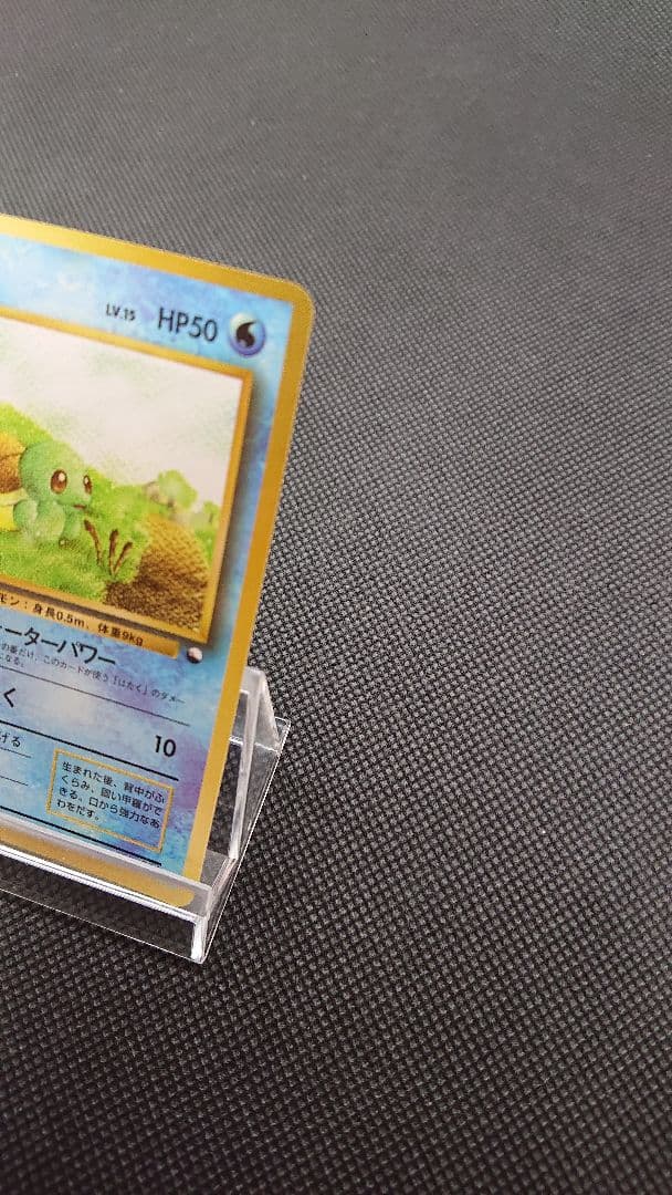 ポケモンカード 旧裏 拡張シート ゼニガメ