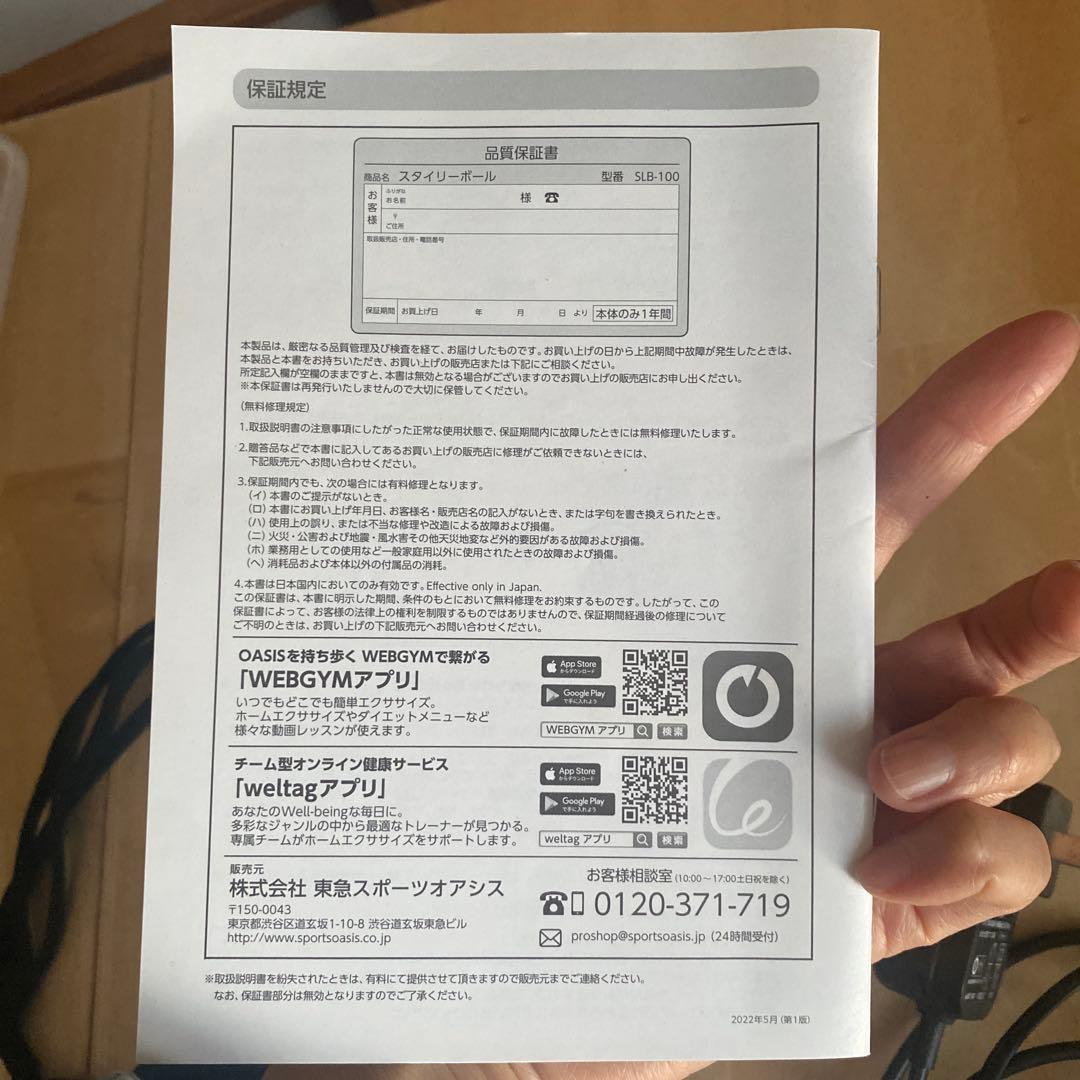 OASIS スタイリーボール 充電器・収納袋付き