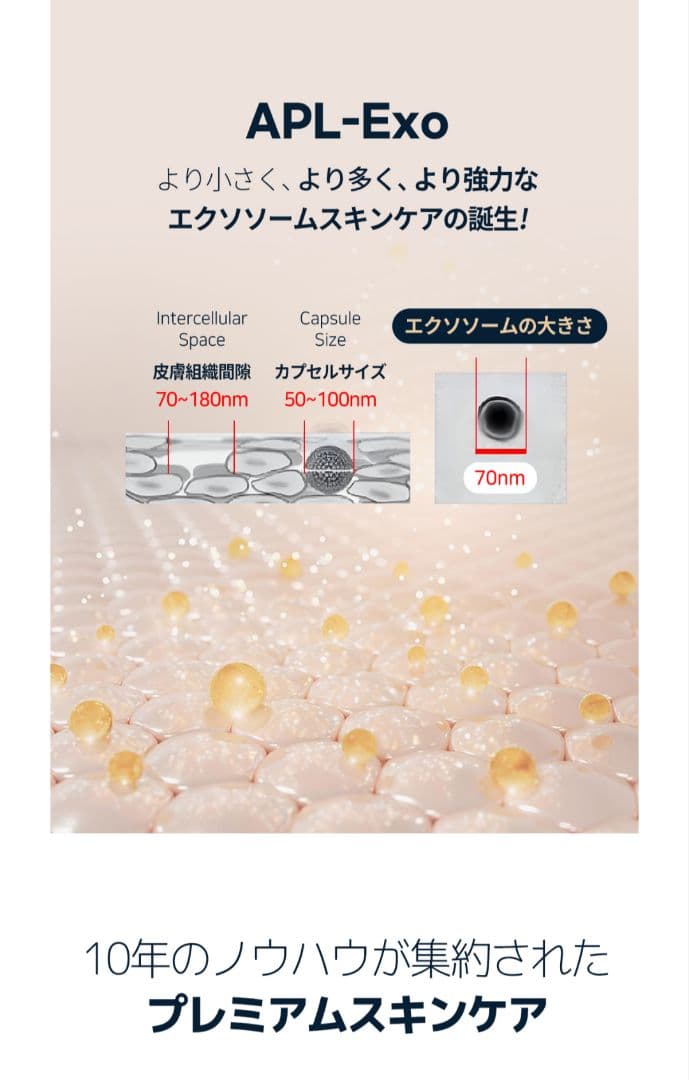 「正規品」ルビーセル ダーマコードセラム 6本 エクソソーム美容液