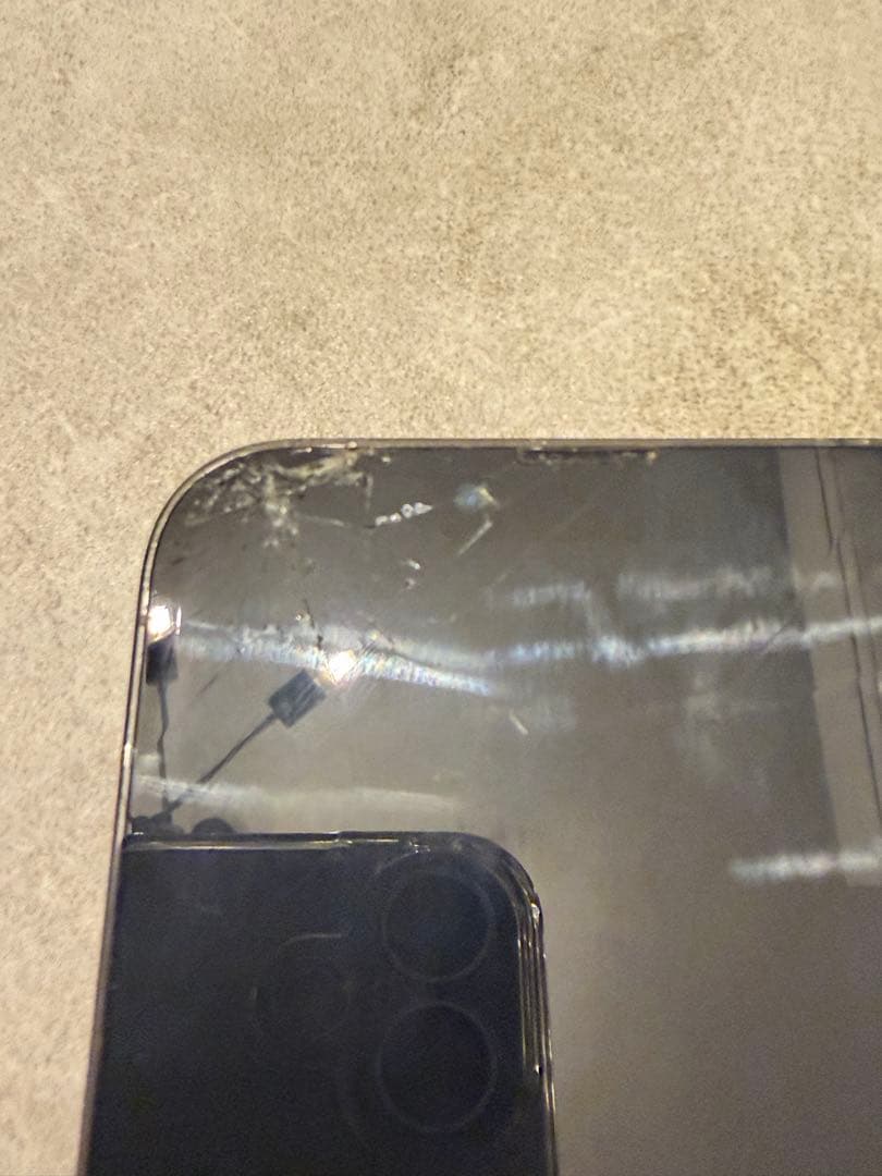 iPhone13pro本体 カメラ不良(内カメのみ)