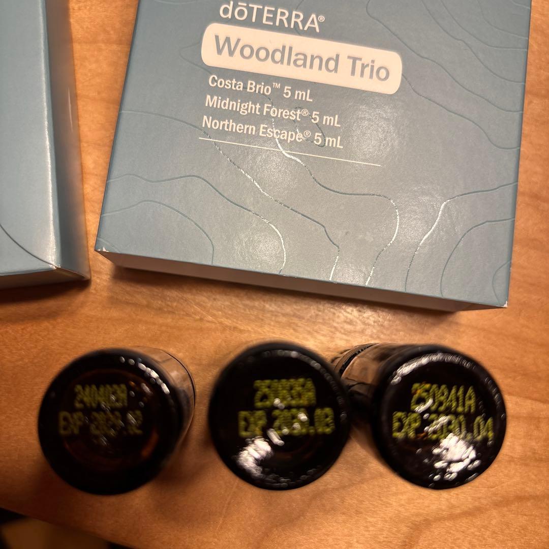 未使用♡dōTERRA 車用ディフューザー & ウッドランドトリオ