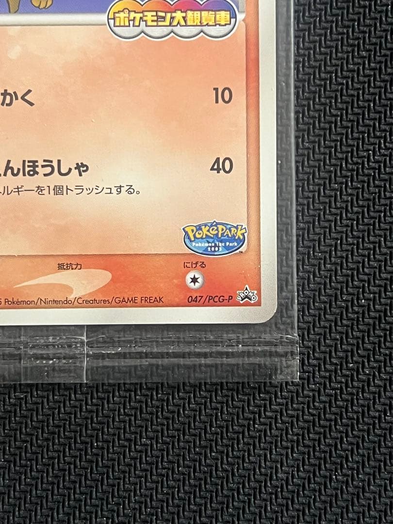 ポケモンカード　ポケパークのアチャモ　 未開封　プロモ　promo