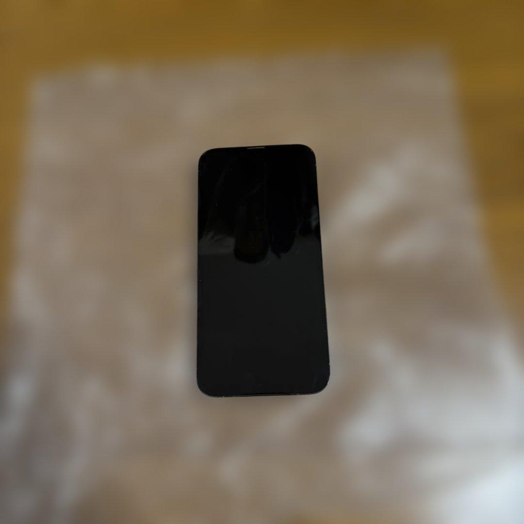 iPhone 13 Pro Max本体 シエラブルー 256GB SIMフリー