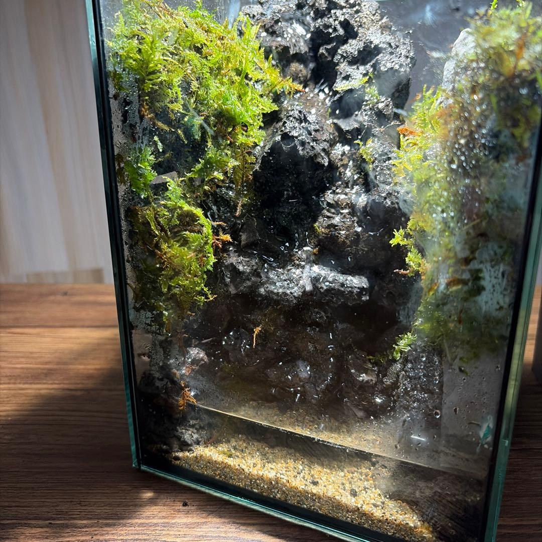 岩肌を水が流れ落ちる渓流　アクアテラリウム