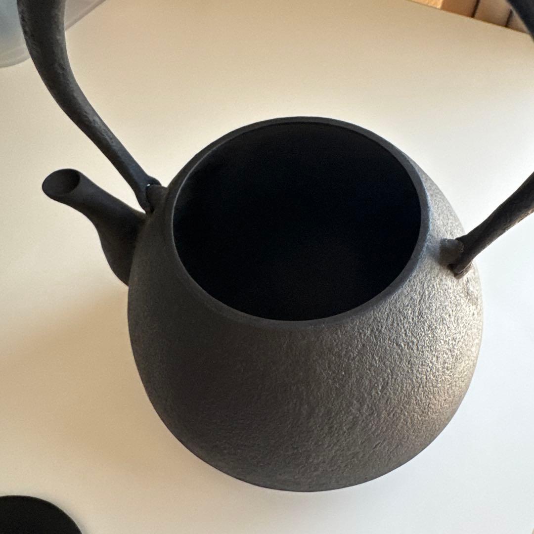 南部鉄器鉄瓶 釜定 秋の実 肌 IH対応