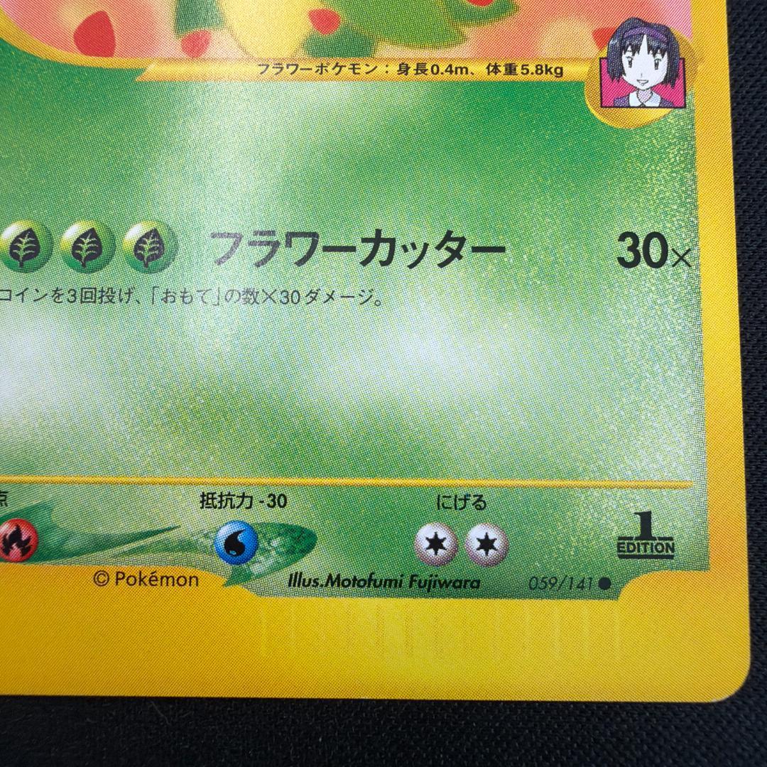 極美品 エリカのキレイハナ カードe 1ed