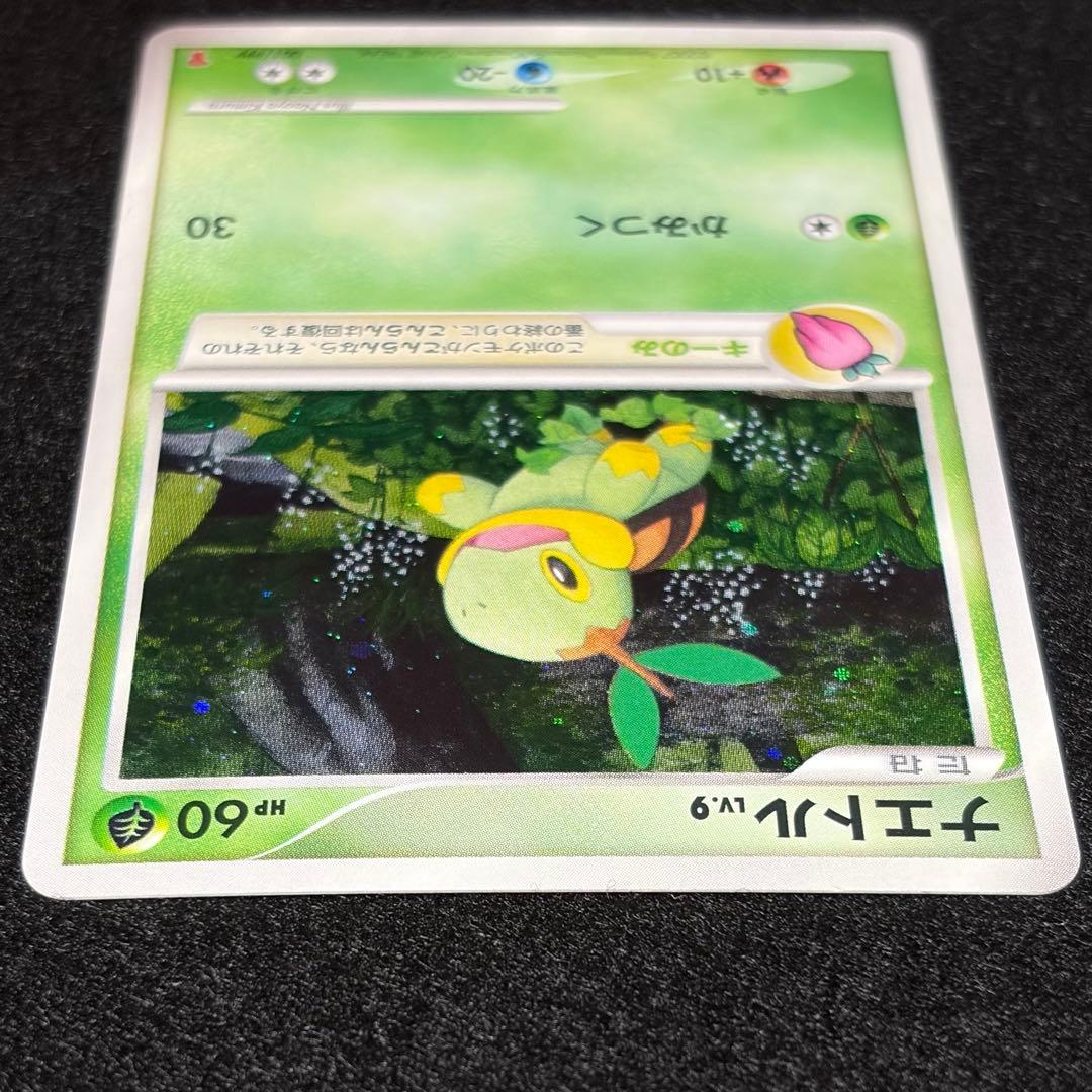ポケモンカード プロモ ナエトル ヒコザル ポッチャマ