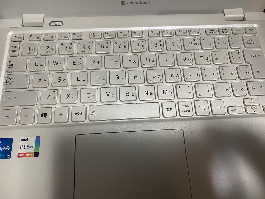 【部品取りジャンク】東芝 dynabook P1-G6PP-BW