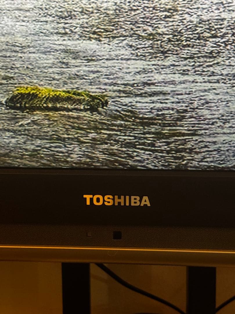 定価30-35万円　HDD内蔵　東芝regza