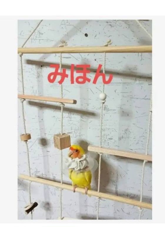 15　インコ　吊り下げアスレチック(大)　ブランコ　止まり木　バードトイ