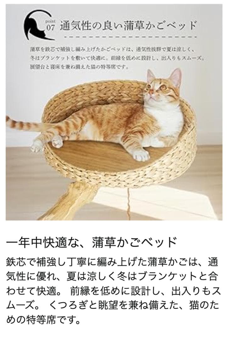 天然コーヒー木使用 キャットタワー 2段 おしゃれ ラタン調 爪とぎ付 猫ねこ