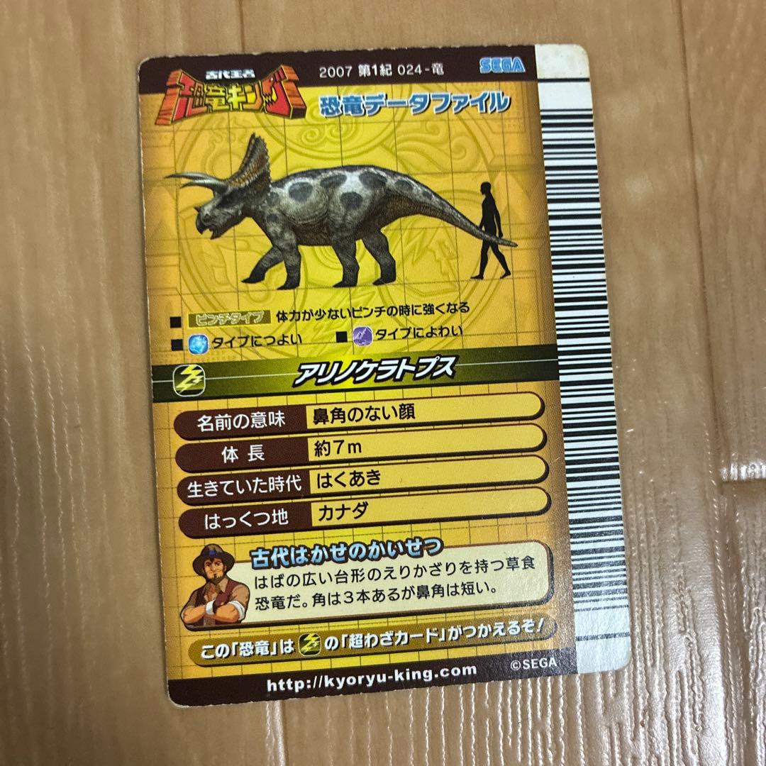 恐竜キングカード　13枚セット