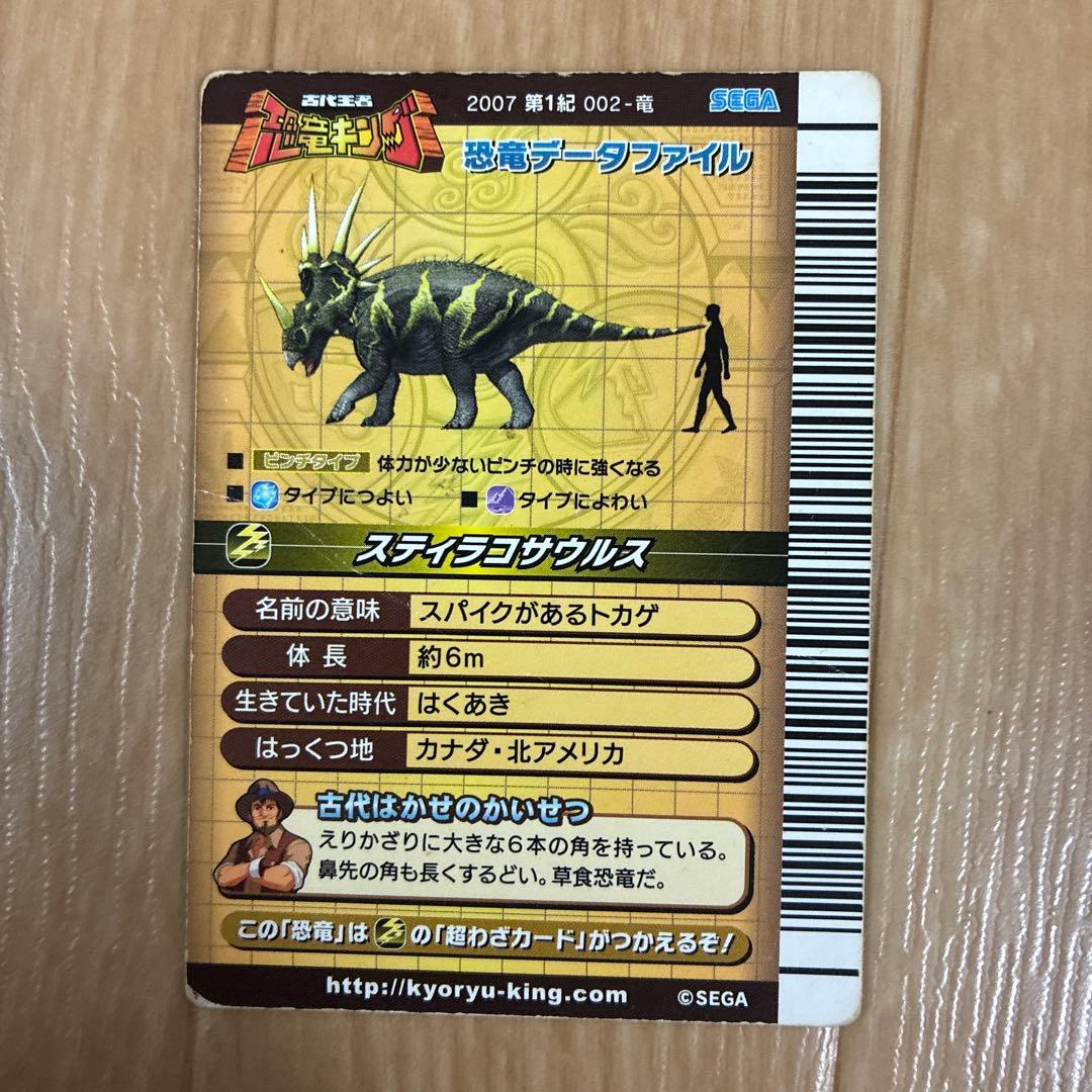恐竜キングカード　13枚セット