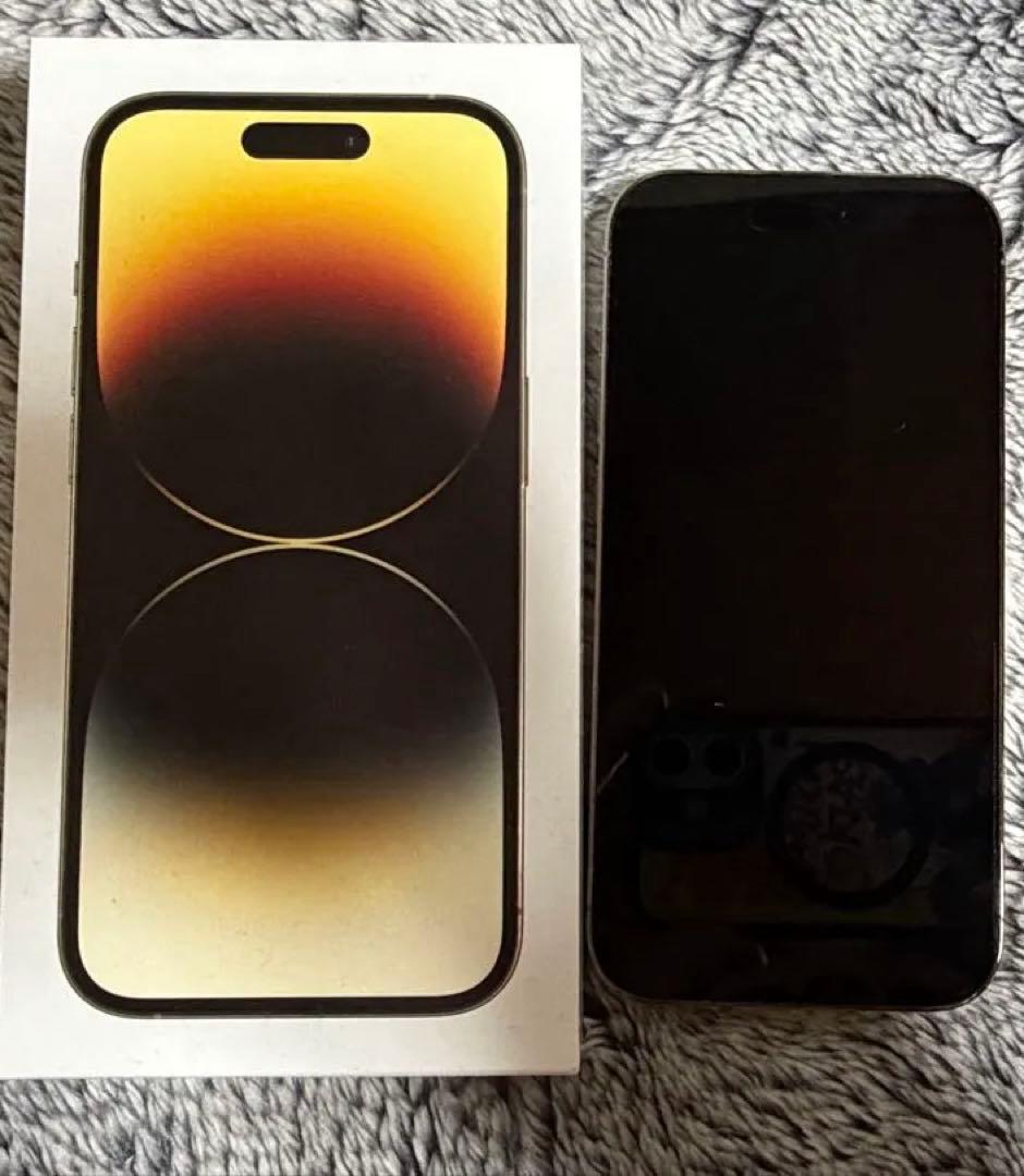 Apple iPhone 14 Pro ゴールド 本体 ＆ ケース