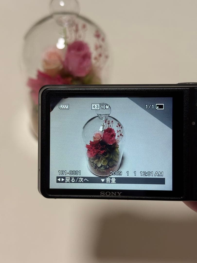 【まさ】　　SONY cybershot DSC-WX1