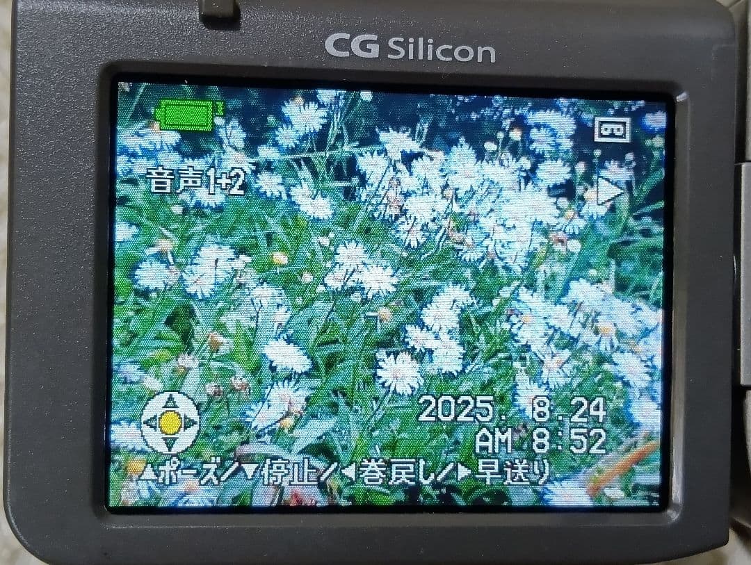 シャープ デジタルビデオカメラ SHARP VL-Z950