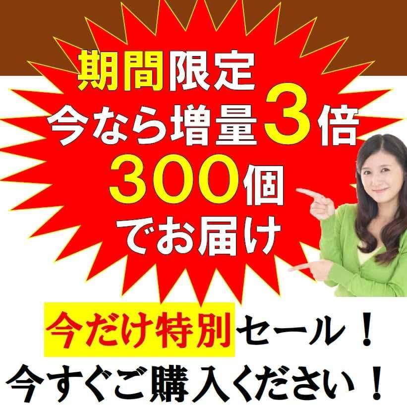 テラへルツ転写済　ゲルマニウム粒　300個　肩こり　プチシルマ　エレキバン2