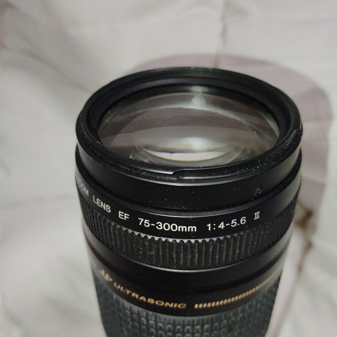 CANON EF 75-300mm f/4-5.6 III ズームレンズ