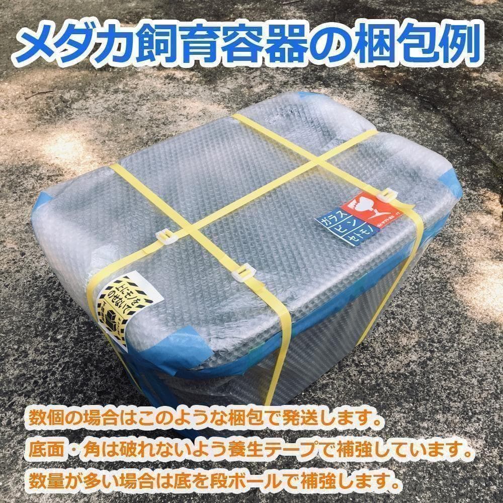 メダカ飼育ケース 36㍑x4個（4色あり）大雨対策付 めだか飼育容器 金魚鉢
