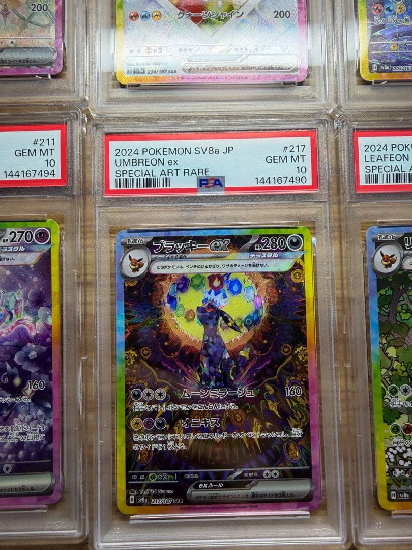 新 PSAケース PSA10 10枚ex ブイズSAR PSA10セット