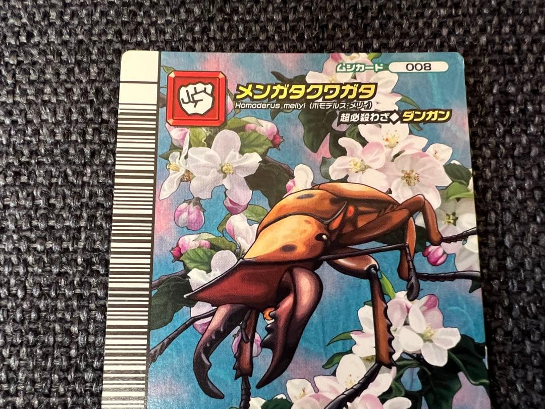 希少5周年第2弾 限定　昆虫王者ムシキング メンガタクワガタ008 カードグッズ