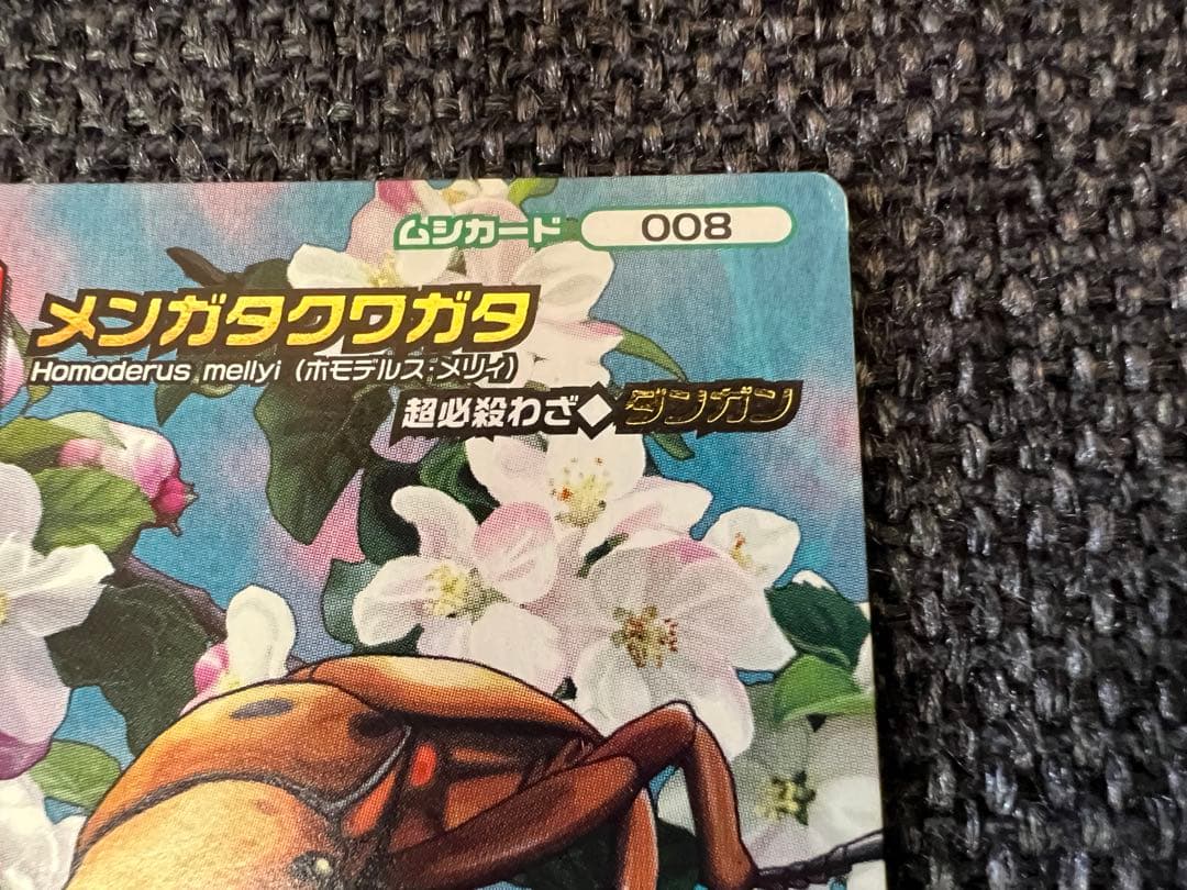 希少5周年第2弾 限定　昆虫王者ムシキング メンガタクワガタ008 カードグッズ