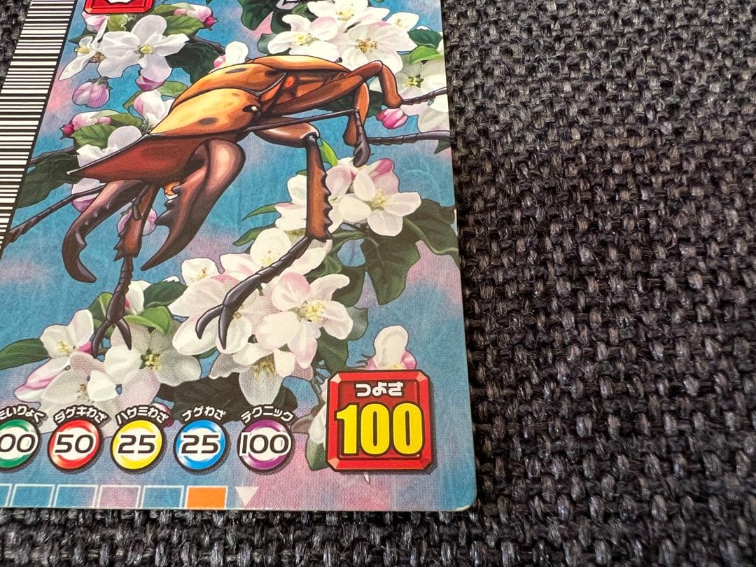 希少5周年第2弾 限定　昆虫王者ムシキング メンガタクワガタ008 カードグッズ