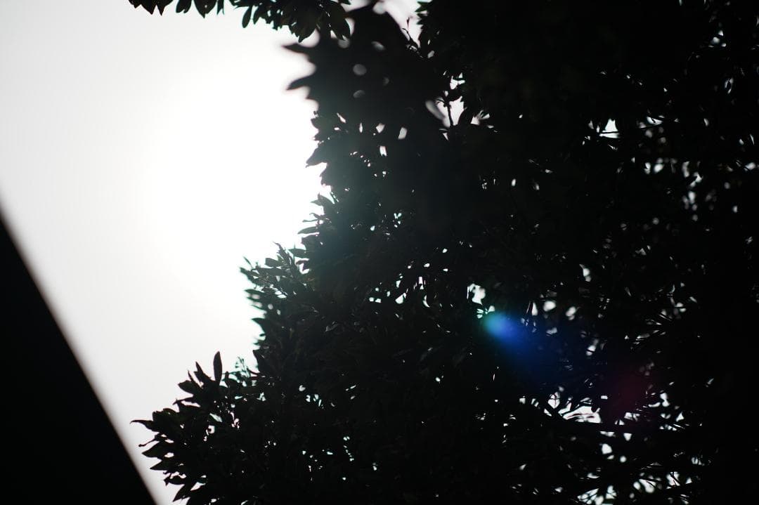 【整備＆テスト済】Nikon New Nikkor 105mm F2.5 820