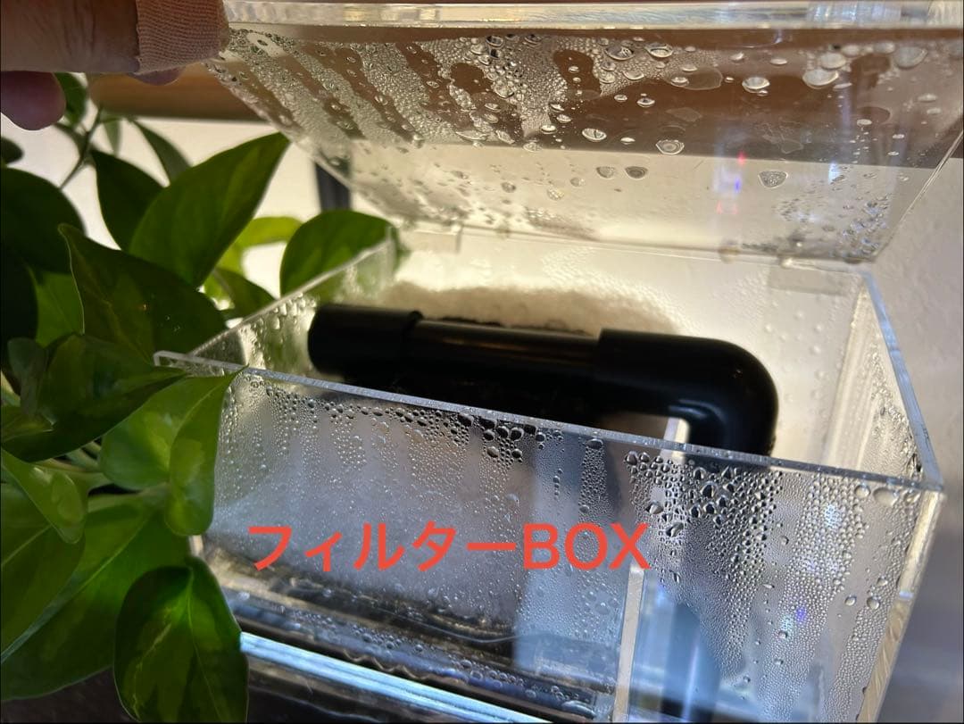 【特価】30cmガラス水槽用上部濾過槽
