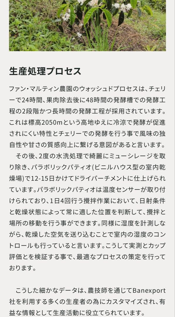 ★ハンドピック済　コロンビアピンクブルボン生豆約2. 2キログラム