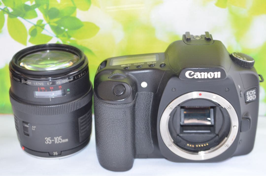 美品 Canon EOS 30D スマホ転送OK キャノン