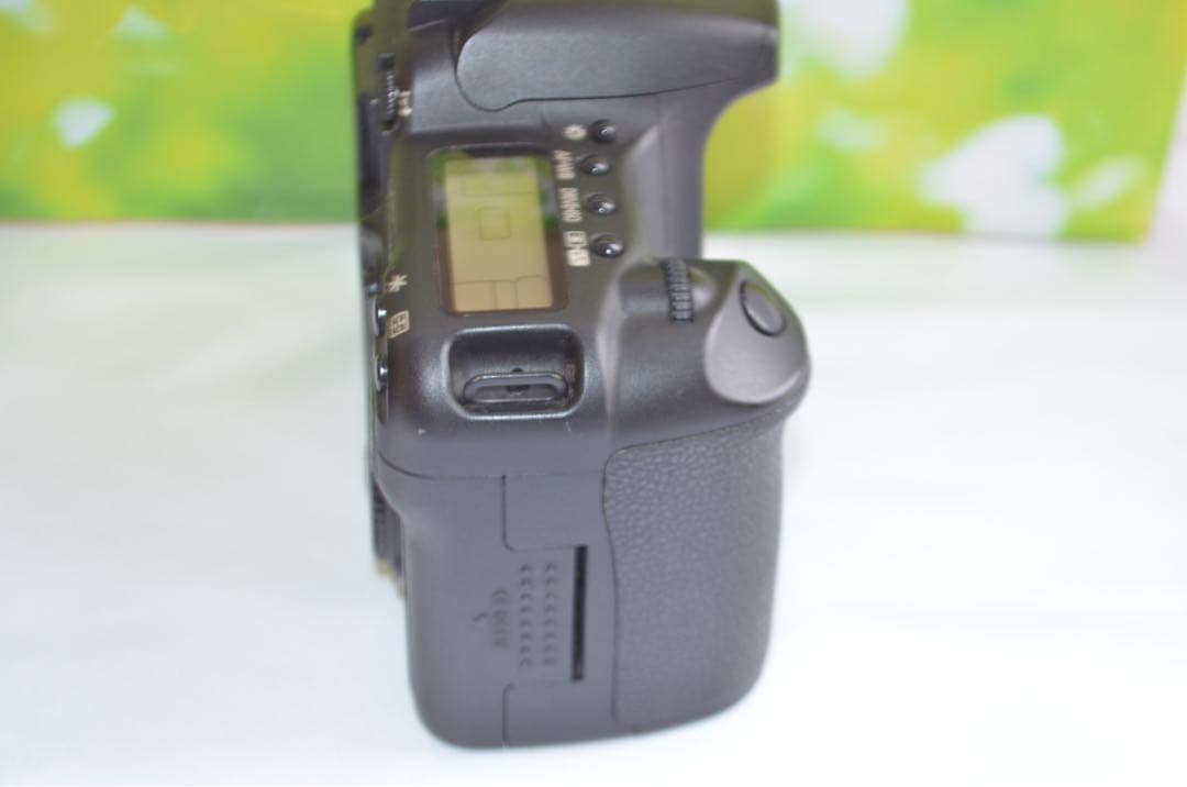美品 Canon EOS 30D スマホ転送OK キャノン