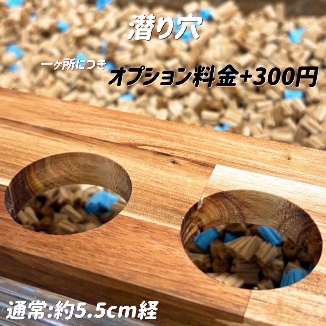 ライムギオーダーページ グラスハーモニー600カジカジ カミカミ防止ロフト
