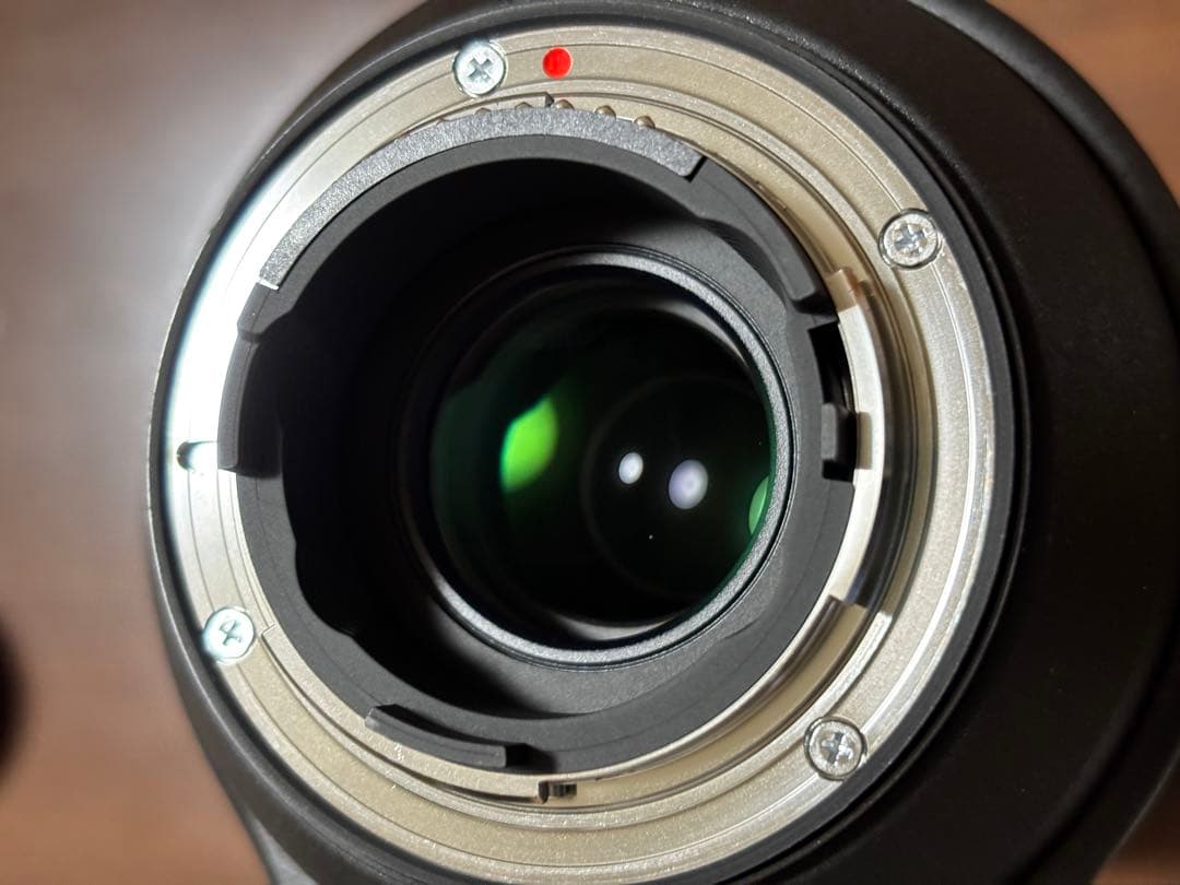 SIGMA 150-600mm F5-6.3 DG OS HSM ニコンF