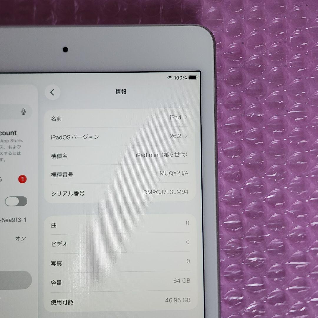 訳あり　超美品　iPad mini 第5世代　Wi-Fi　シルバー 64GB