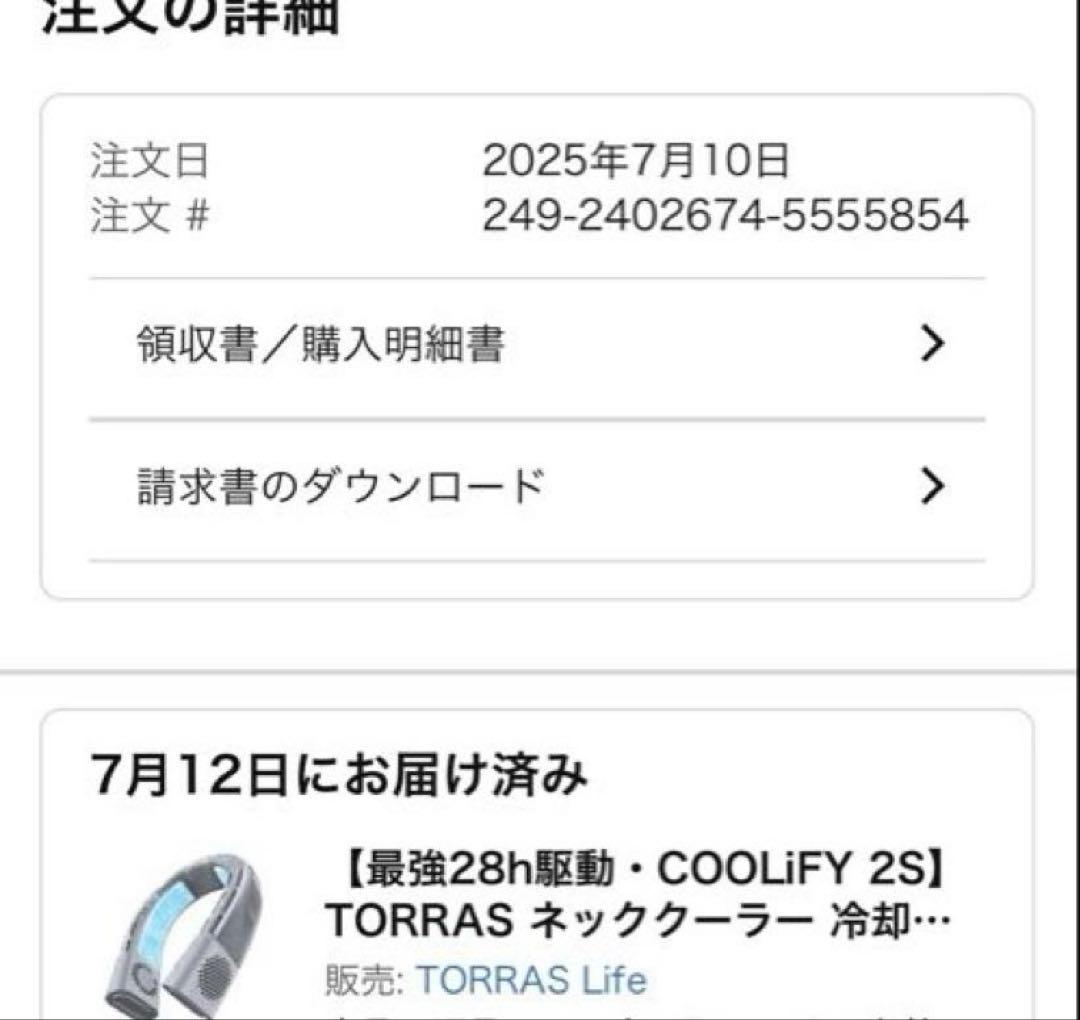 TORRAS COOLIFY 2S ネッククーラー　プラチナグレー