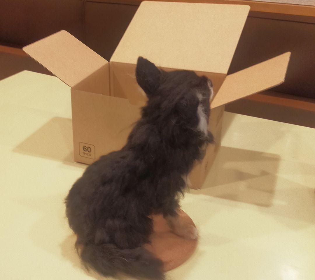 羊毛フェルト　犬　チワワ　ハンドメイド