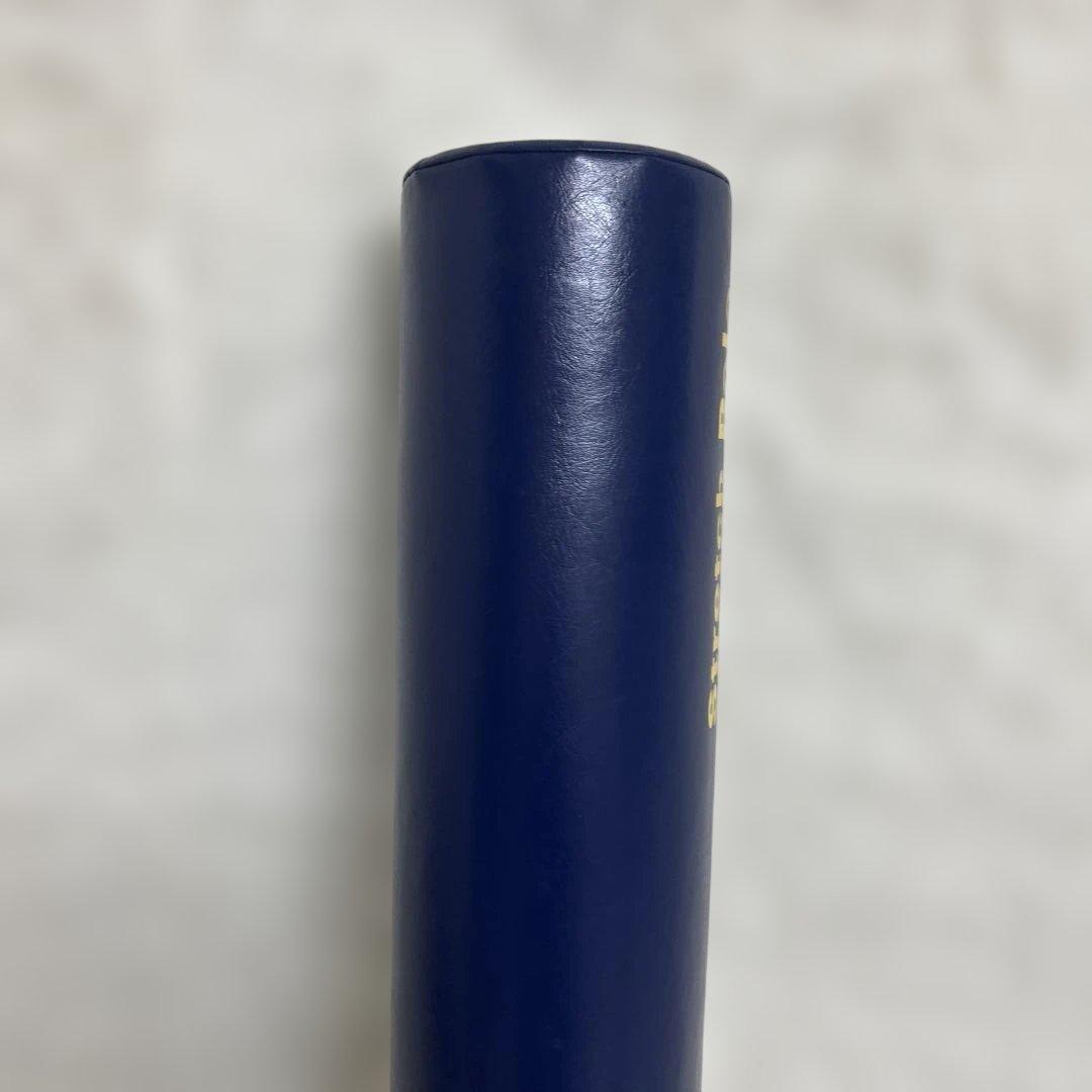 【お値下げ不可】美品　LPN StretchPole 正規品　ネイビー　EX