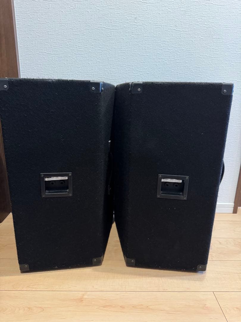 送料込みPeavey TLS5スピーカー右側(必ず左右セットでご購入ください)