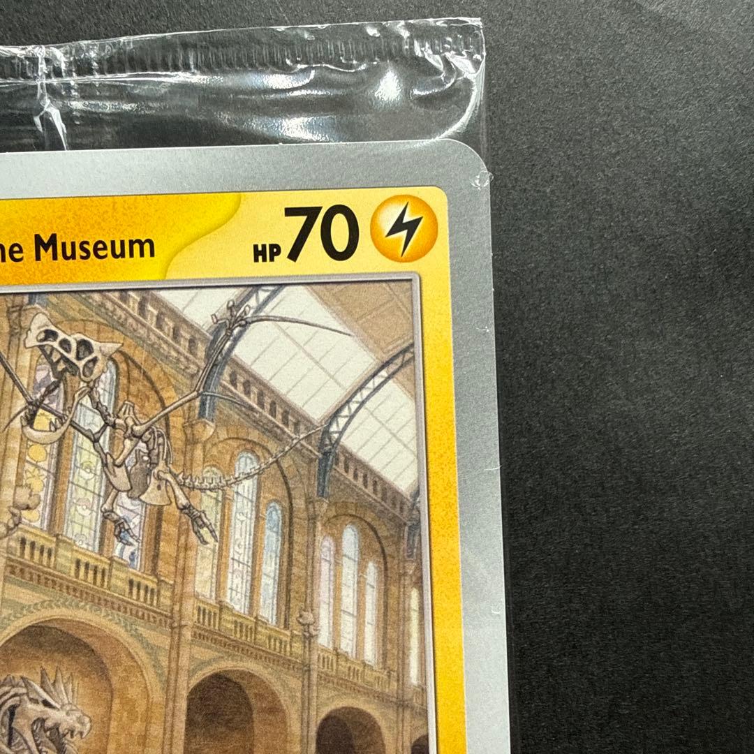 イギリス　ロンドン　自然史博物館ピカチュウ　プロモカード　検品済み品⑧