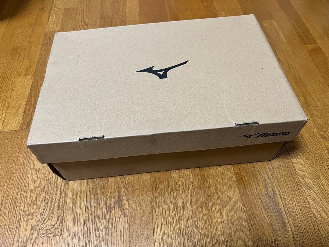 ミズノ安全靴　26.5㎝